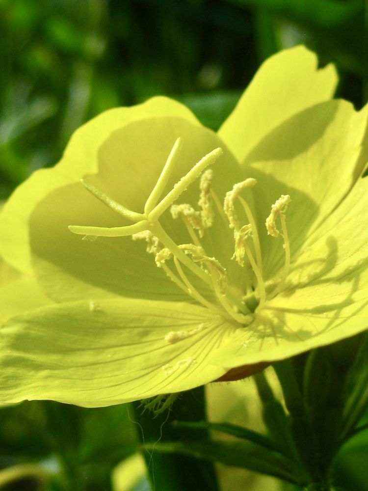 Photograph by Елена Смирнова