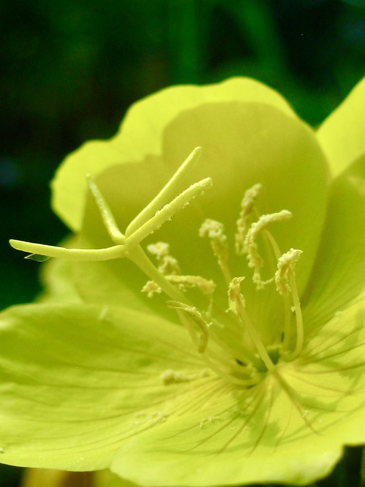 Photograph by Елена Смирнова