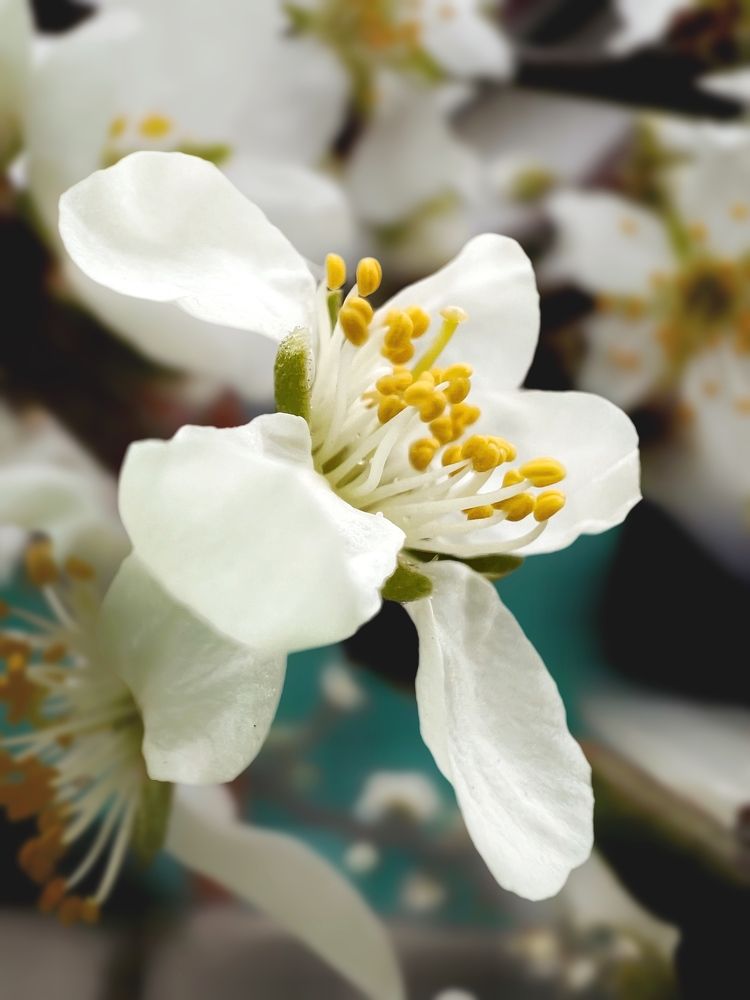 Photograph by Елена Громова