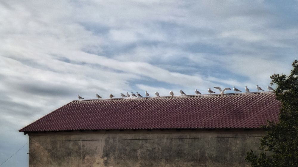 Photograph by Надежда Тузова