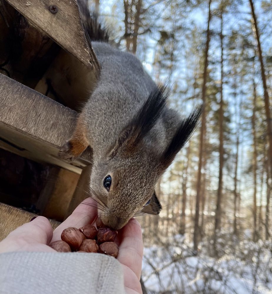 Photograph by Светлана Хохлова