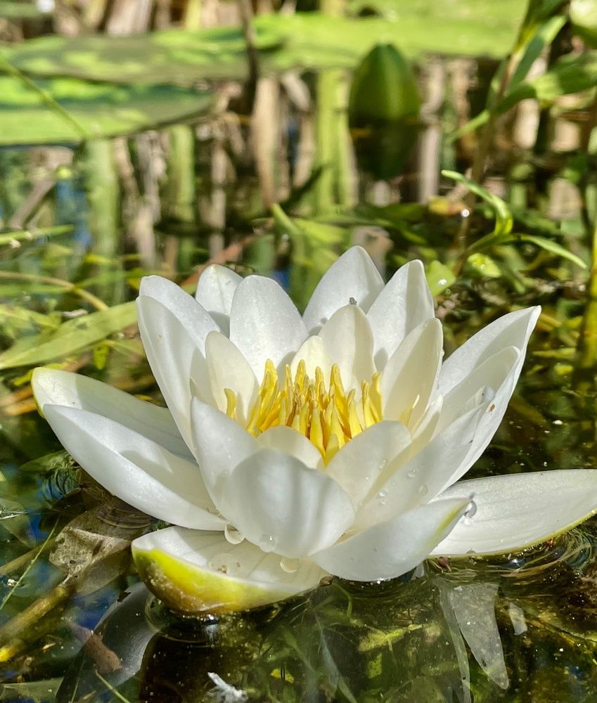 Photograph by Светлана Хохлова