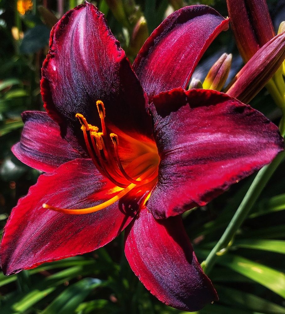 Photograph by Юлия Коробкова