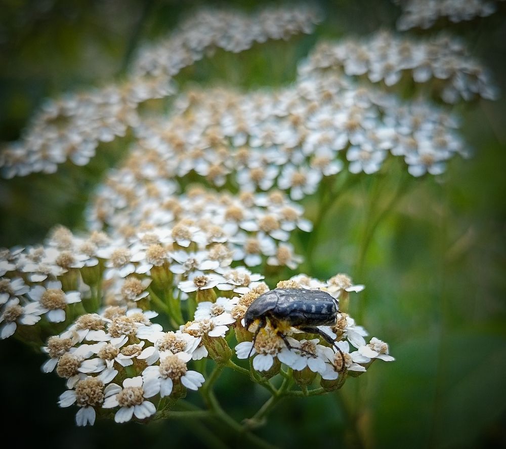 Photograph by Анна Кудинкина