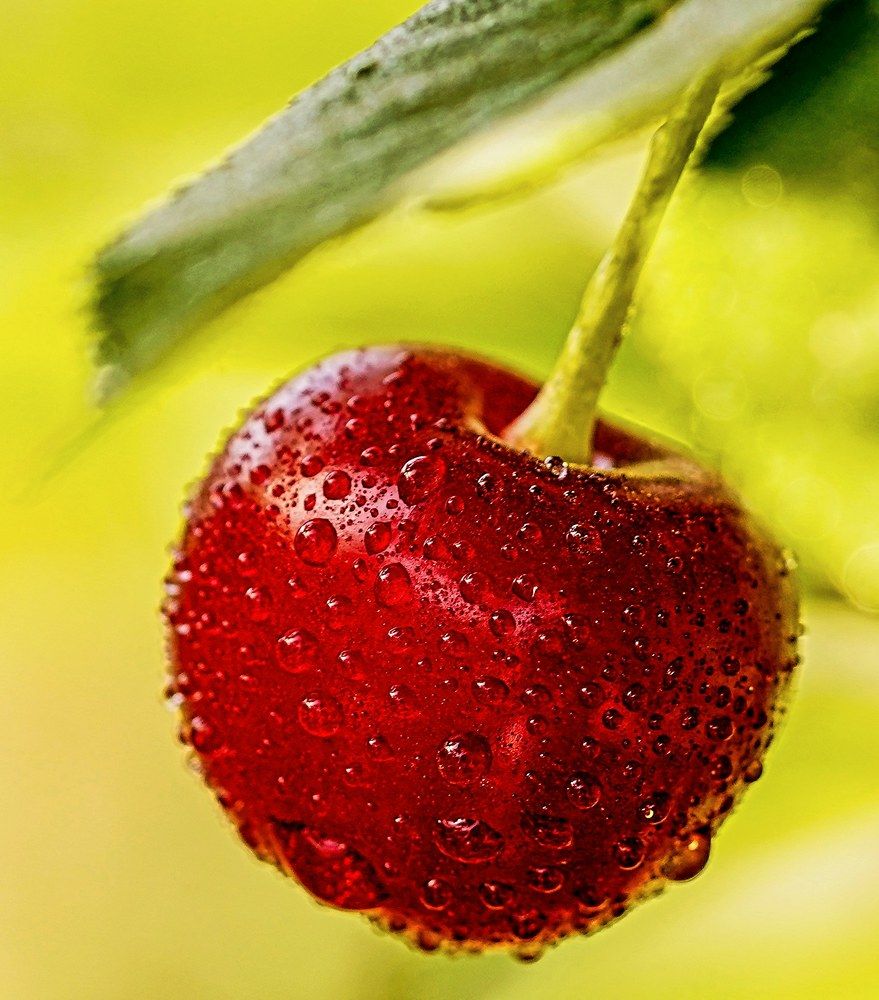 Photograph by kamran shirani