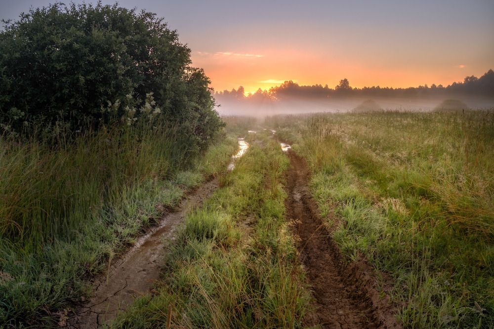 Фотография автора Сережин Сережа