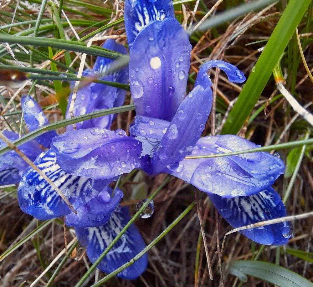 Фотография автора Елена Пикатова