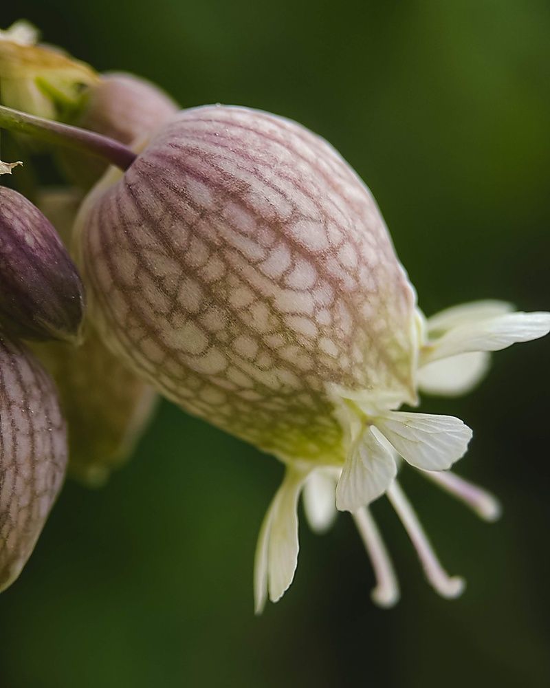 Фотография автора Марина Алексеевская