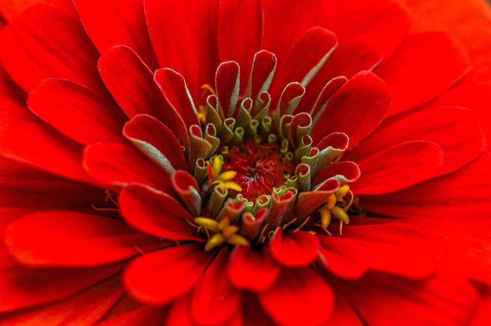 Photograph by Олеся zme