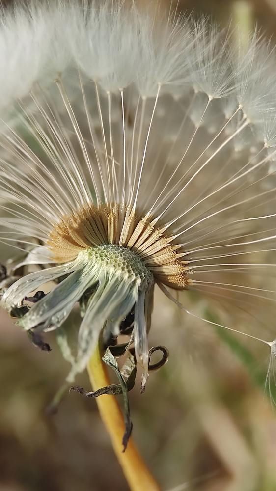 Фотография автора Марина Алексеевская