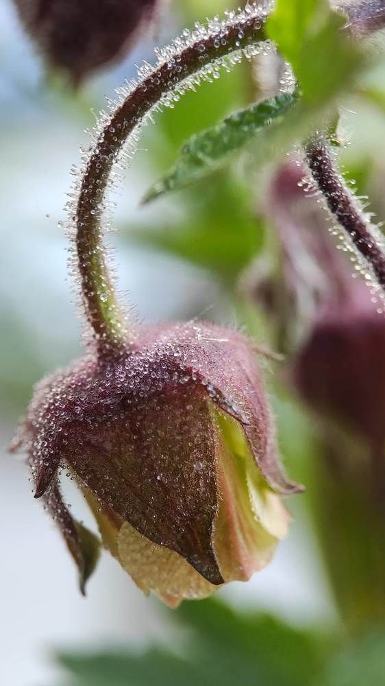 Фотография автора Марина Алексеевская