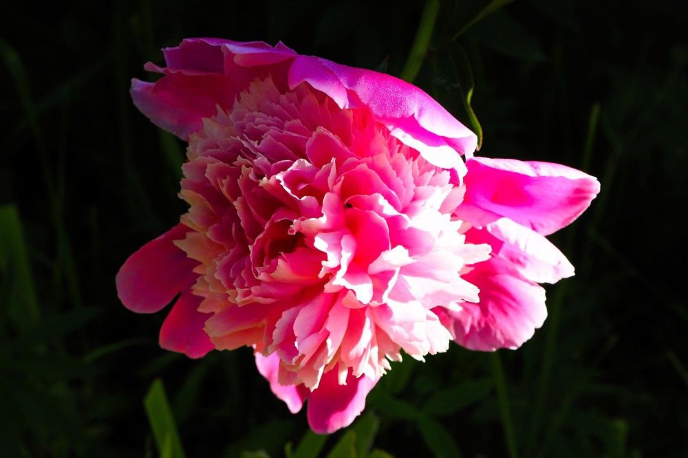 Photograph by Сергей Пушкин