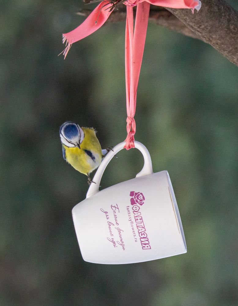 Что тут у нас