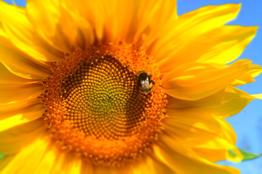 Photograph by Ксения Лебедева