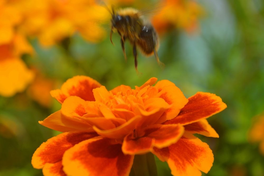 Photograph by Ксения Лебедева