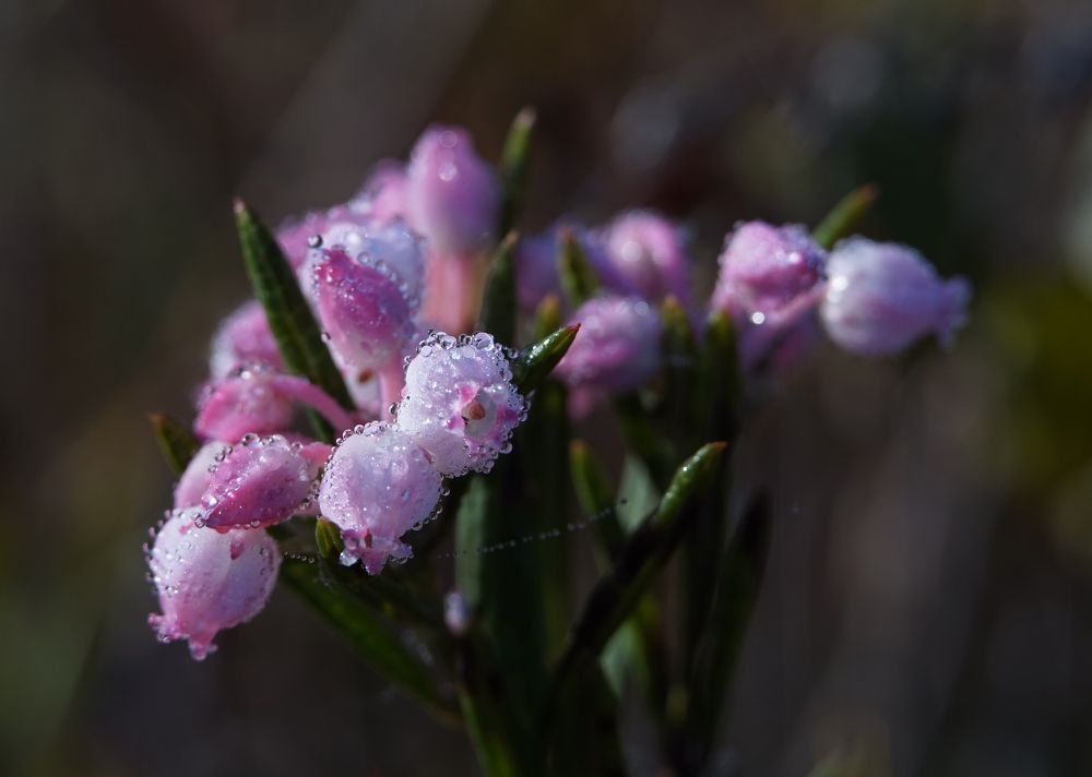 Photograph by Лена Максимкина