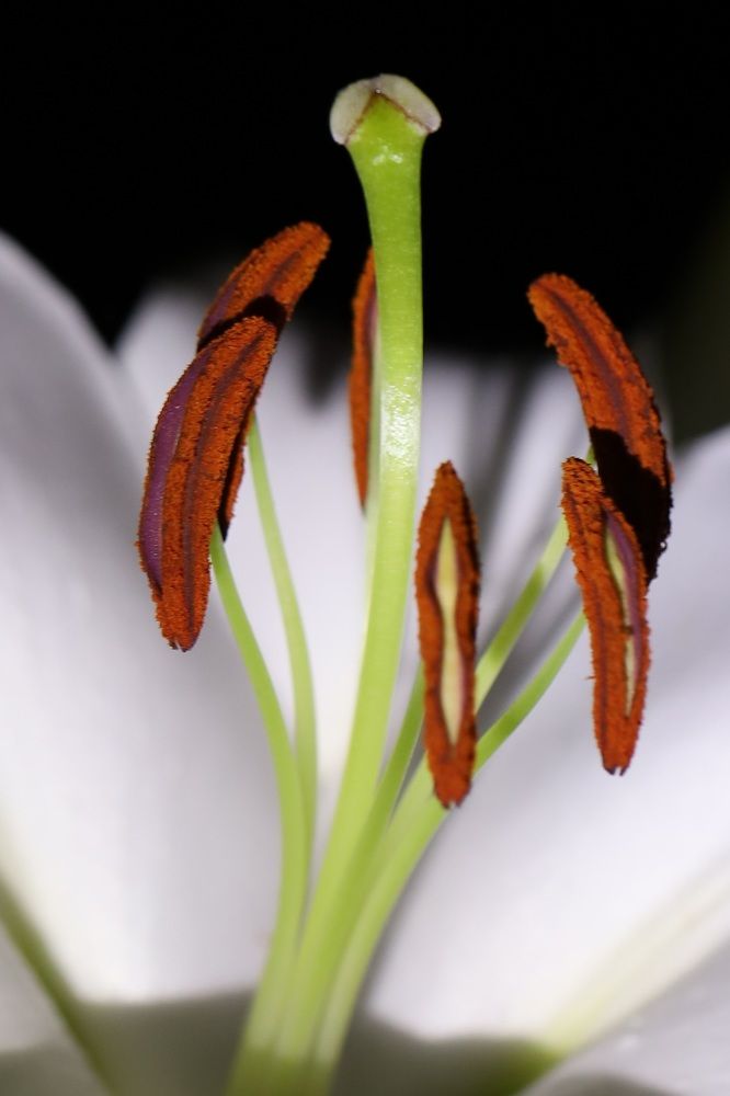 Photograph by Елена Тимченко