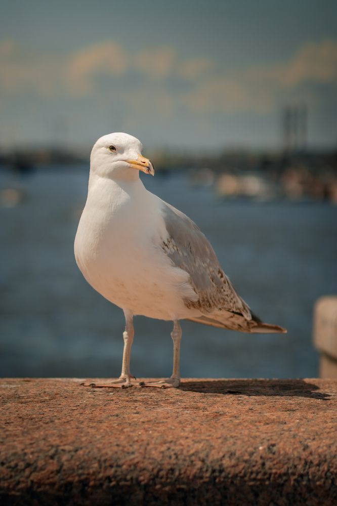 Photograph by Виталий Потапенок