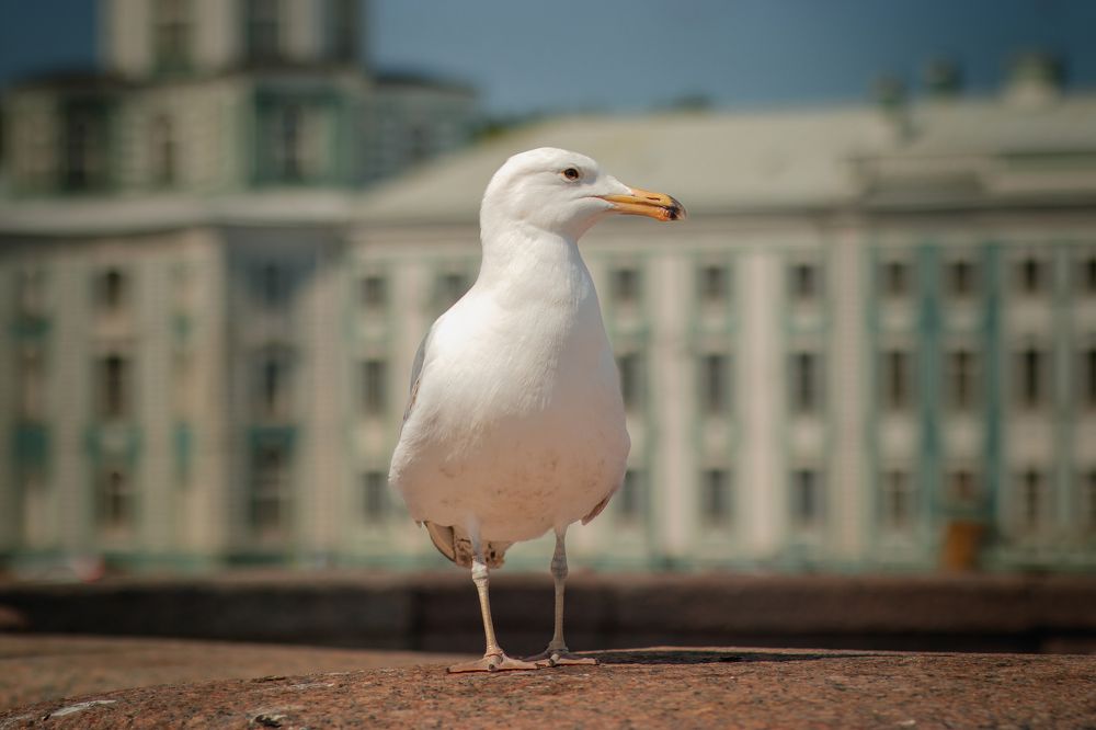 Photograph by Виталий Потапенок