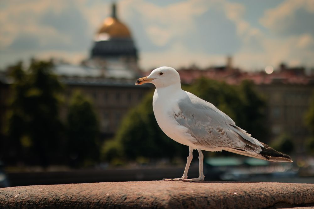 Photograph by Виталий Потапенок