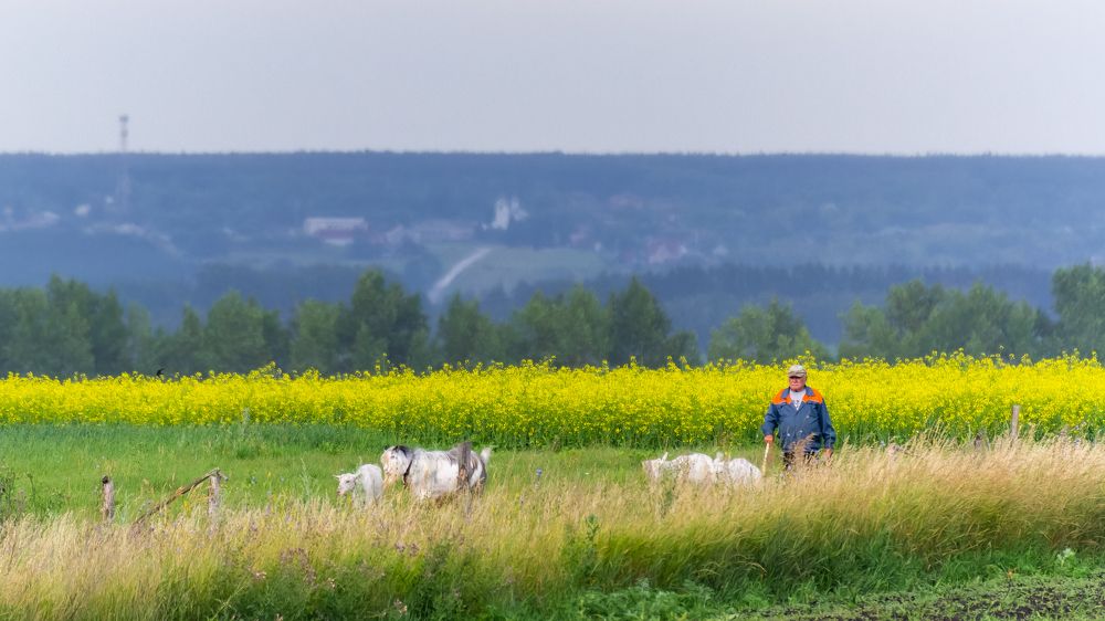 Photograph by Вадим Мелихов