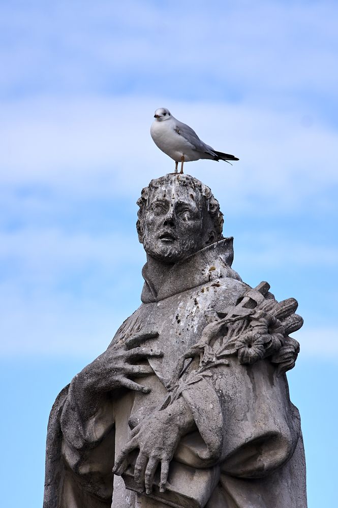 Photograph by Илья Шишков