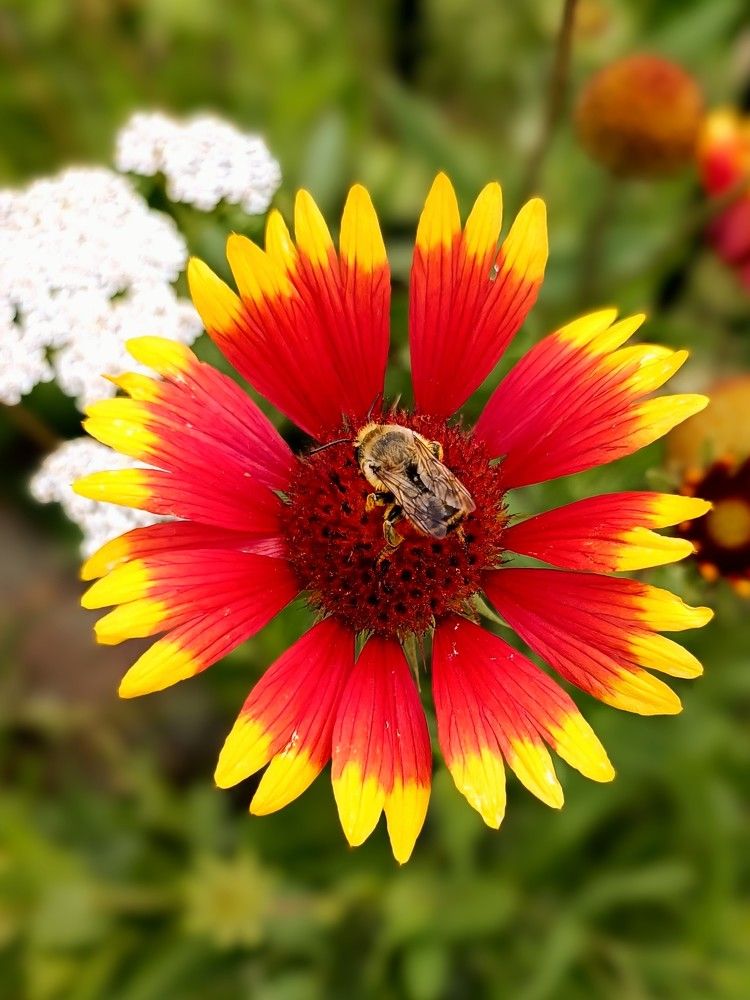 Photograph by Татьяна Яцкевич