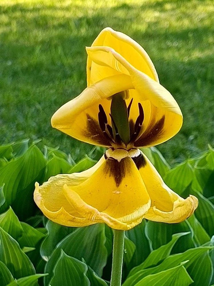 Photograph by Татьяна Яцкевич