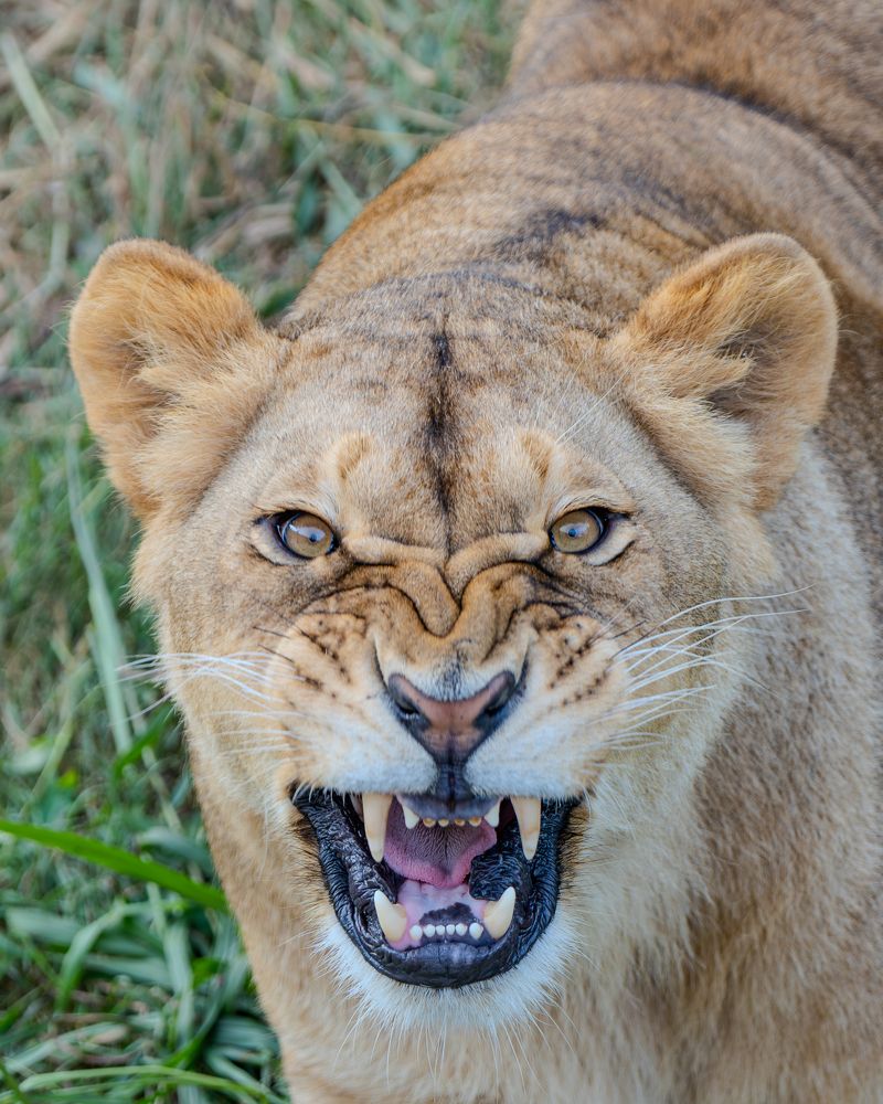 Photograph by Сергей Жиркевич