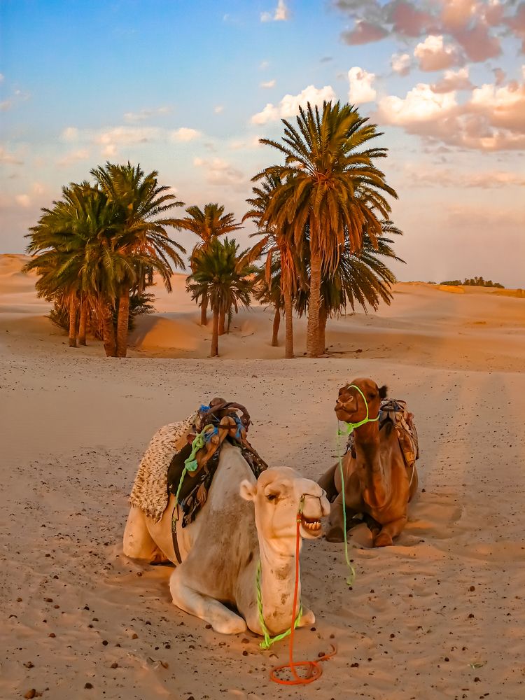 Photograph by Алексей Мякота