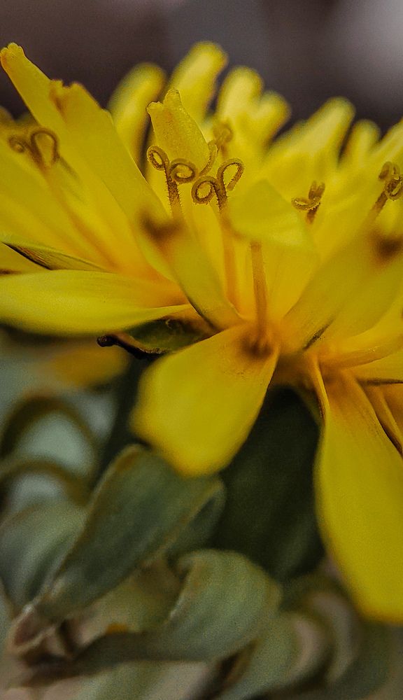 Фотография автора Анастасия Мамаева