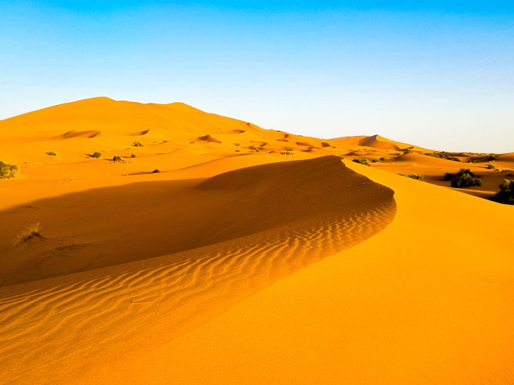 Photograph by Ksenia Tishchenko