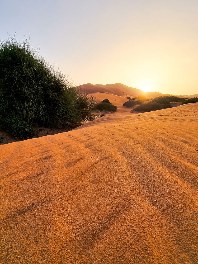 Photograph by Ksenia Tishchenko