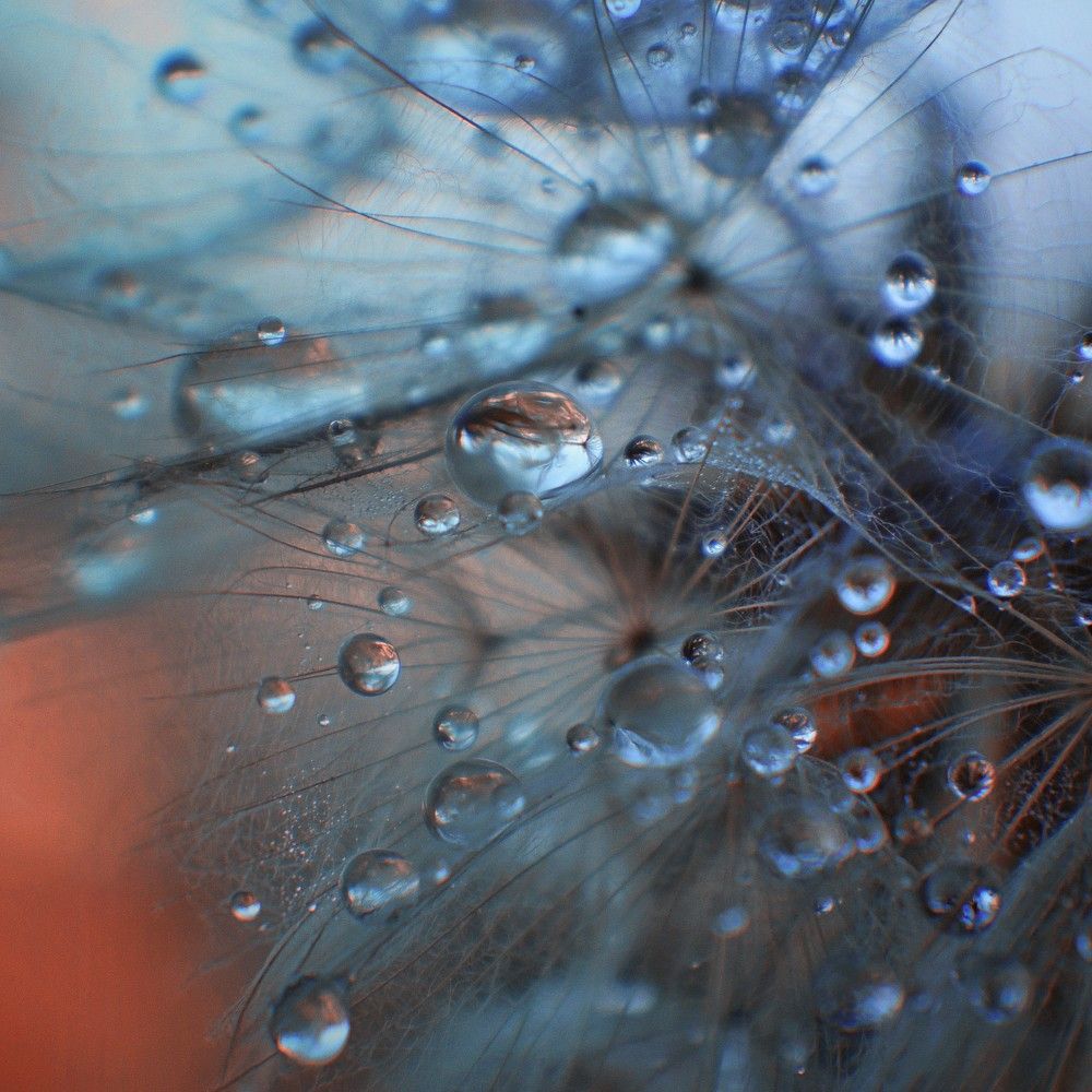 Photograph by Татьяна Максакова