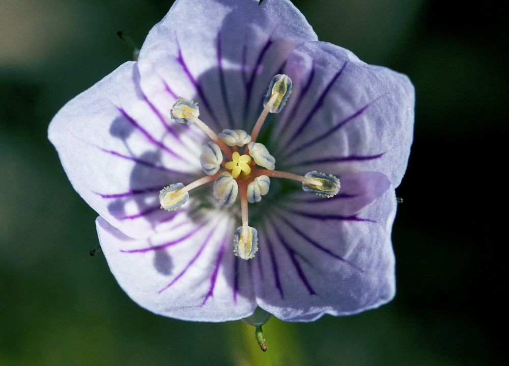 Photograph by Лена Максимкина