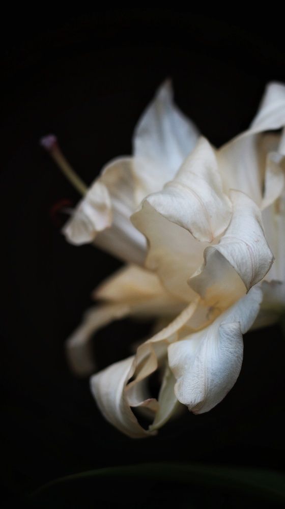 Photograph by Татьяна Федченко