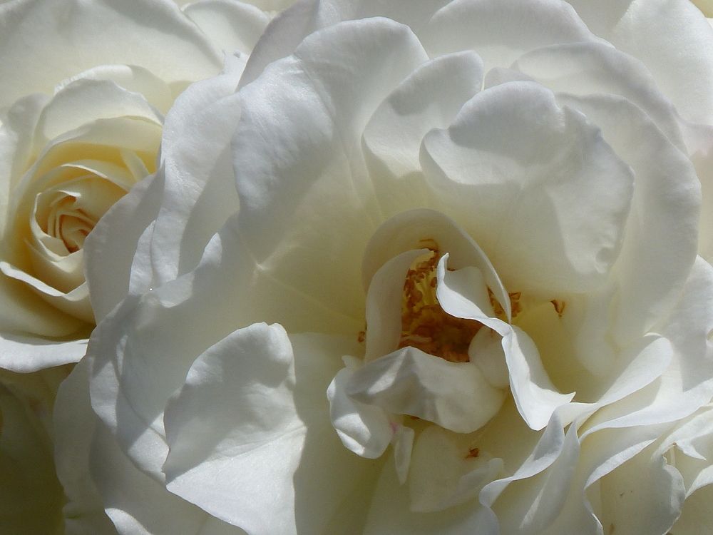 Photograph by Isabella Northrop