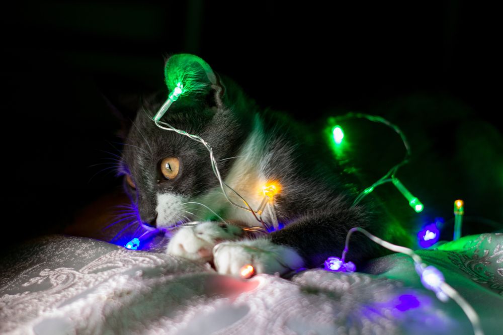 Photograph by Ирина Шклярова