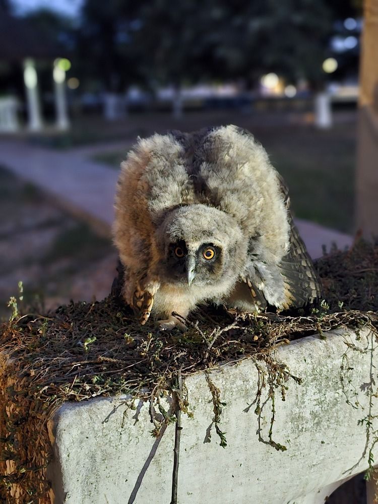 Photograph by Sebastian Popa