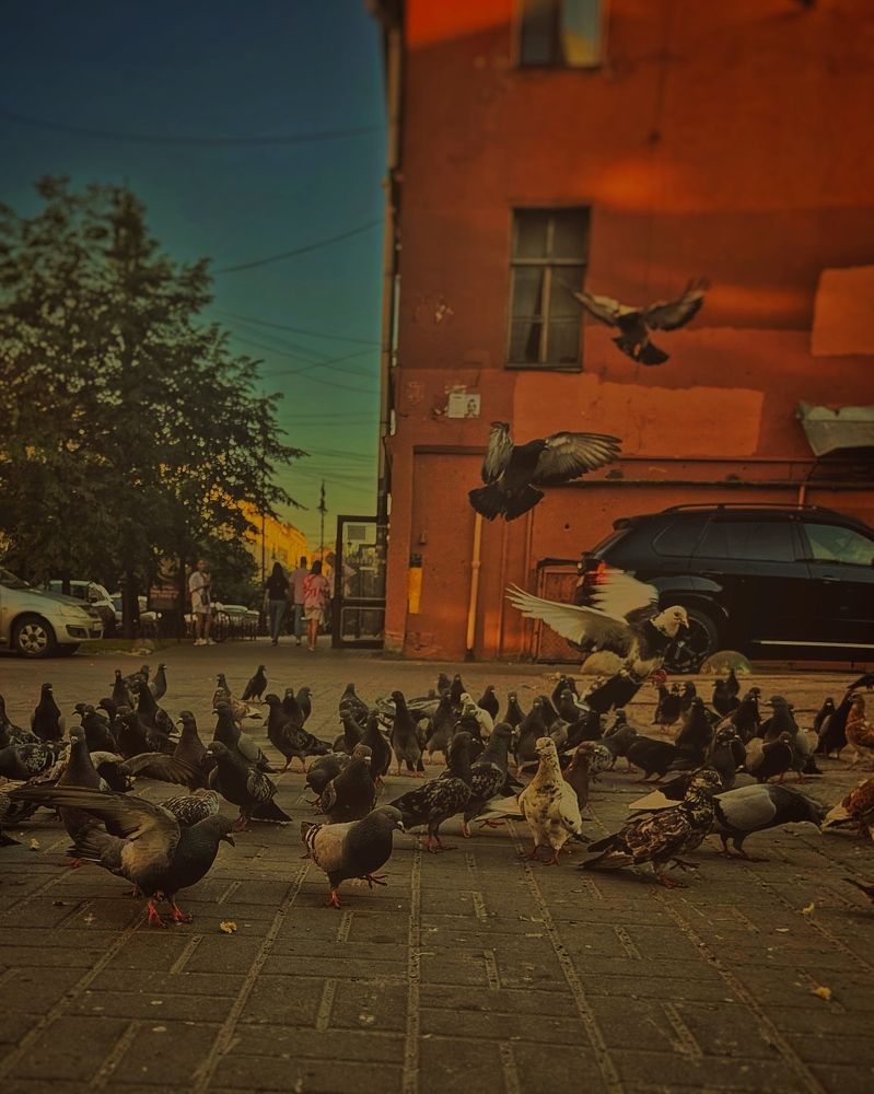 Photograph by Mariia Voloshina