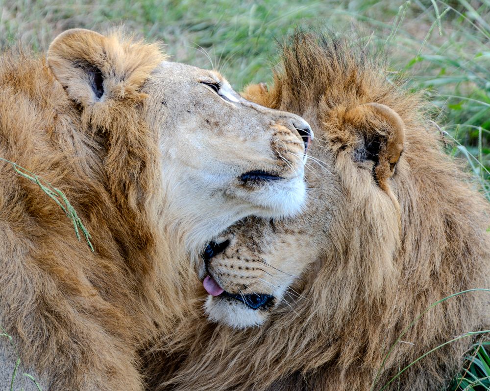 Photograph by Сергей Жиркевич