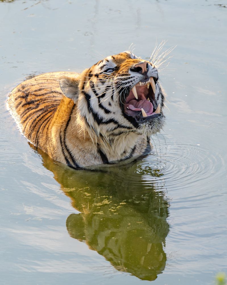 Photograph by Сергей Жиркевич