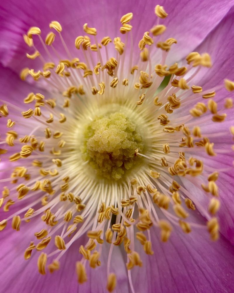 Photograph by Ольга Осинина