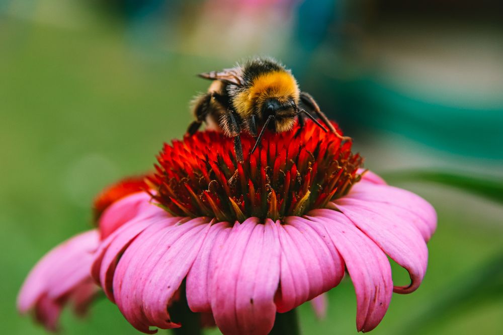 Photograph by Алексей Голубев