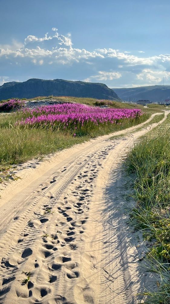 Фотография автора Юлия Шумейко