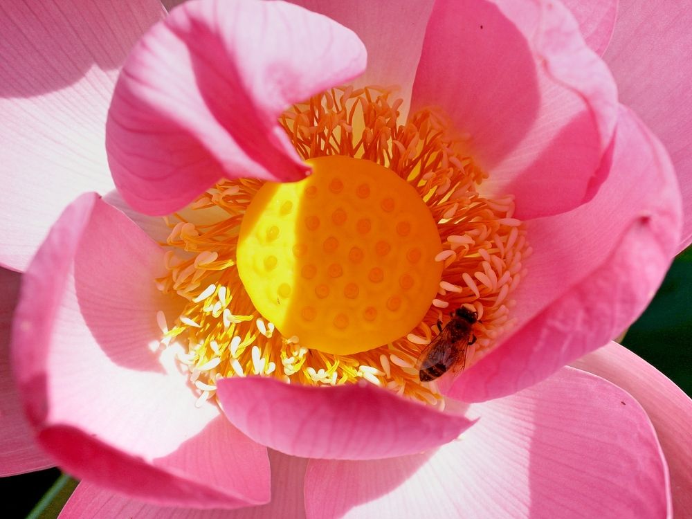 Photograph by Алексей Коношонкин