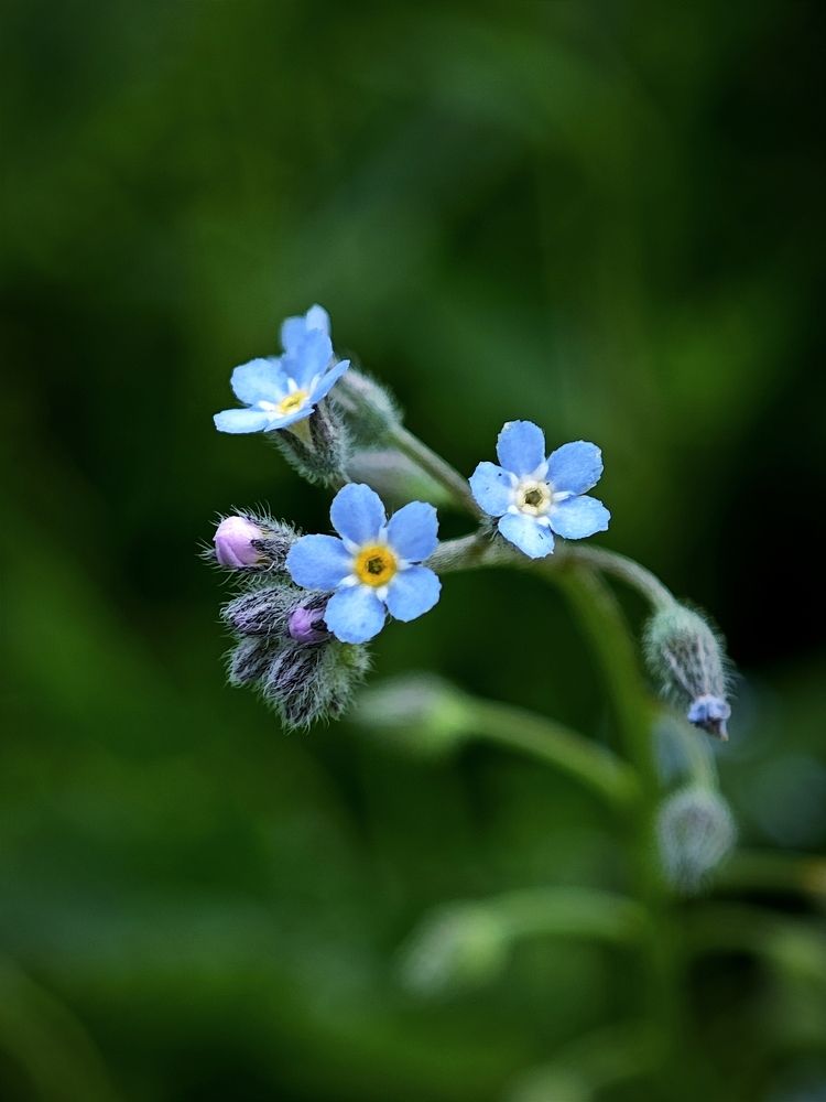 Photograph by Надежда Кангина