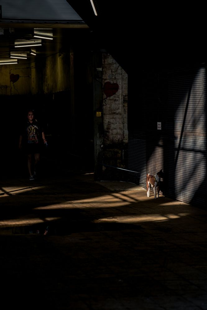 Photograph by Nikolay Surovtsev