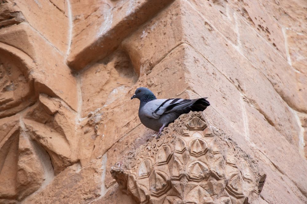 Photograph by Любовь Алексеева