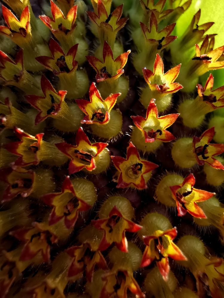 Photograph by Irina Tischer